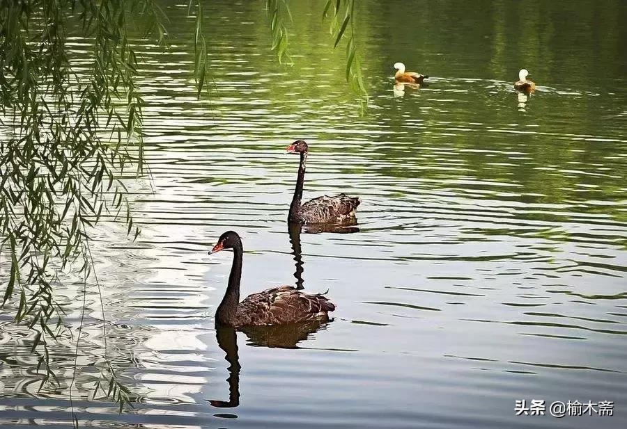 山水谢灵运诗词,李白秋登宣城谢脁北楼原诗详解