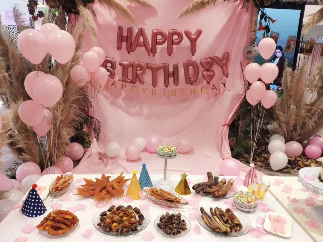 开宠物店成都哪里最好卖,成都最大宠物连锁店