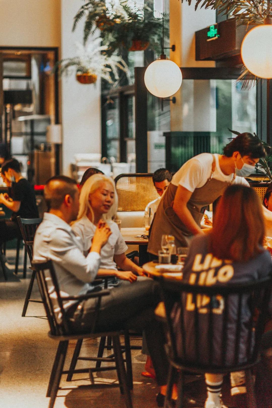 爱宠大作战纪录片,爱宠大作战一口气看完