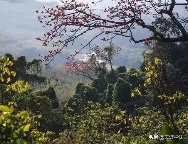 海南最美的5个小镇,海南最美的十个县
