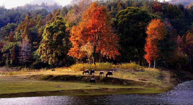 广西百色靖西旅游景点,百色西林十大旅游景点