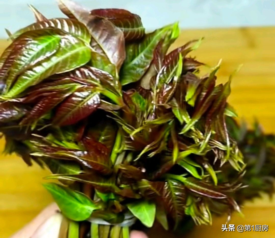 香椿来自春天的味道,香椿煎鸡蛋春天的美食