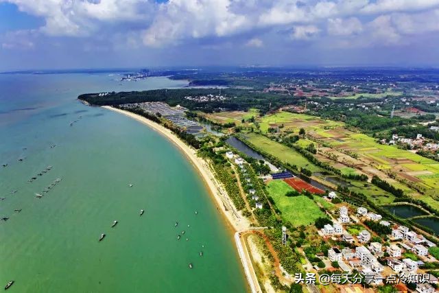 九个很有意思的冷知识,湛江冷知识