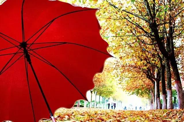 西法大青春力量,西法大