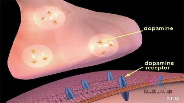 看恐怖片的好处和坏处,情侣看恐怖片有什么好处