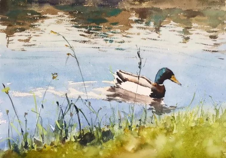 画水彩的正确方法和技巧,如何画好水彩静物