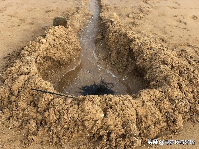 青岛的金沙滩和银沙滩哪个比较好,青岛金沙滩风景区简介