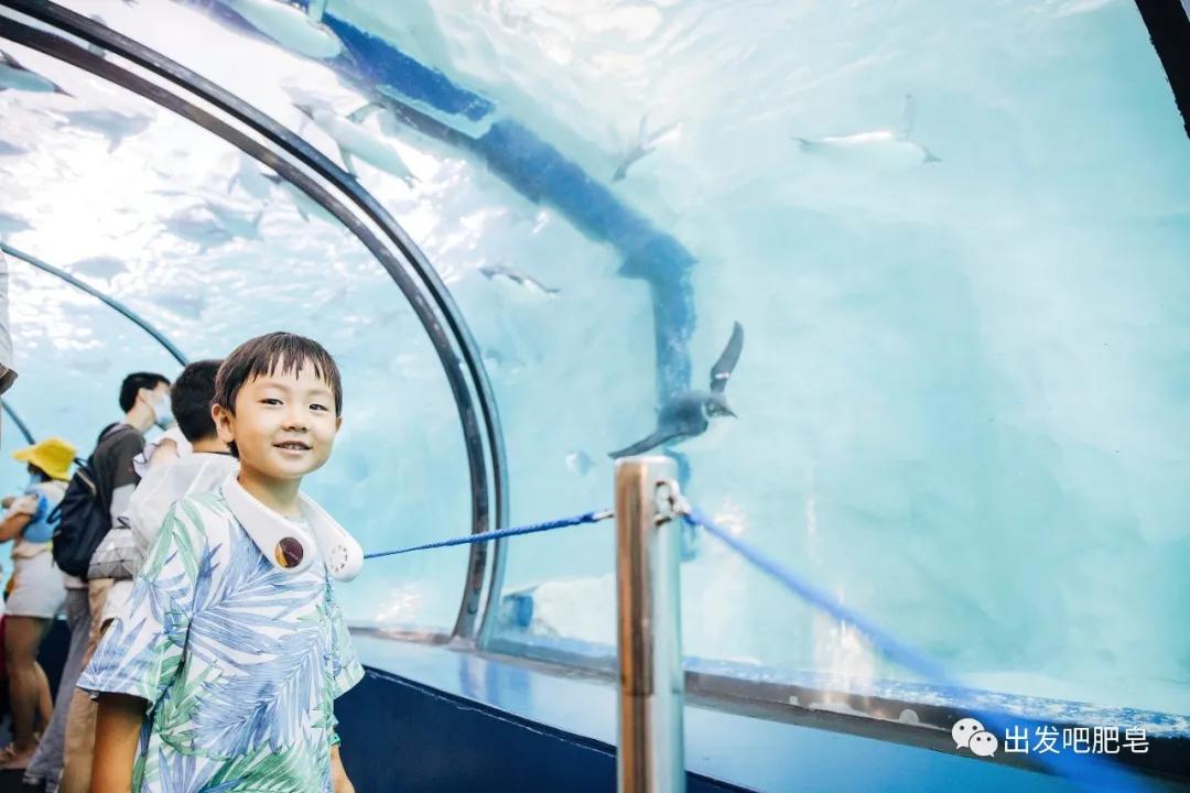 一天珠海长隆最全游玩攻略,最新的珠海长隆游玩攻略