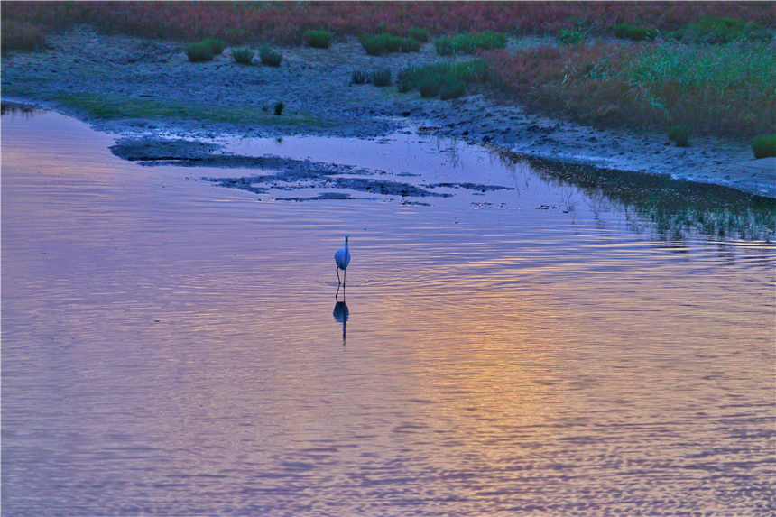 河北最宜居的城市有哪几个,河北最宜居的城市是哪个