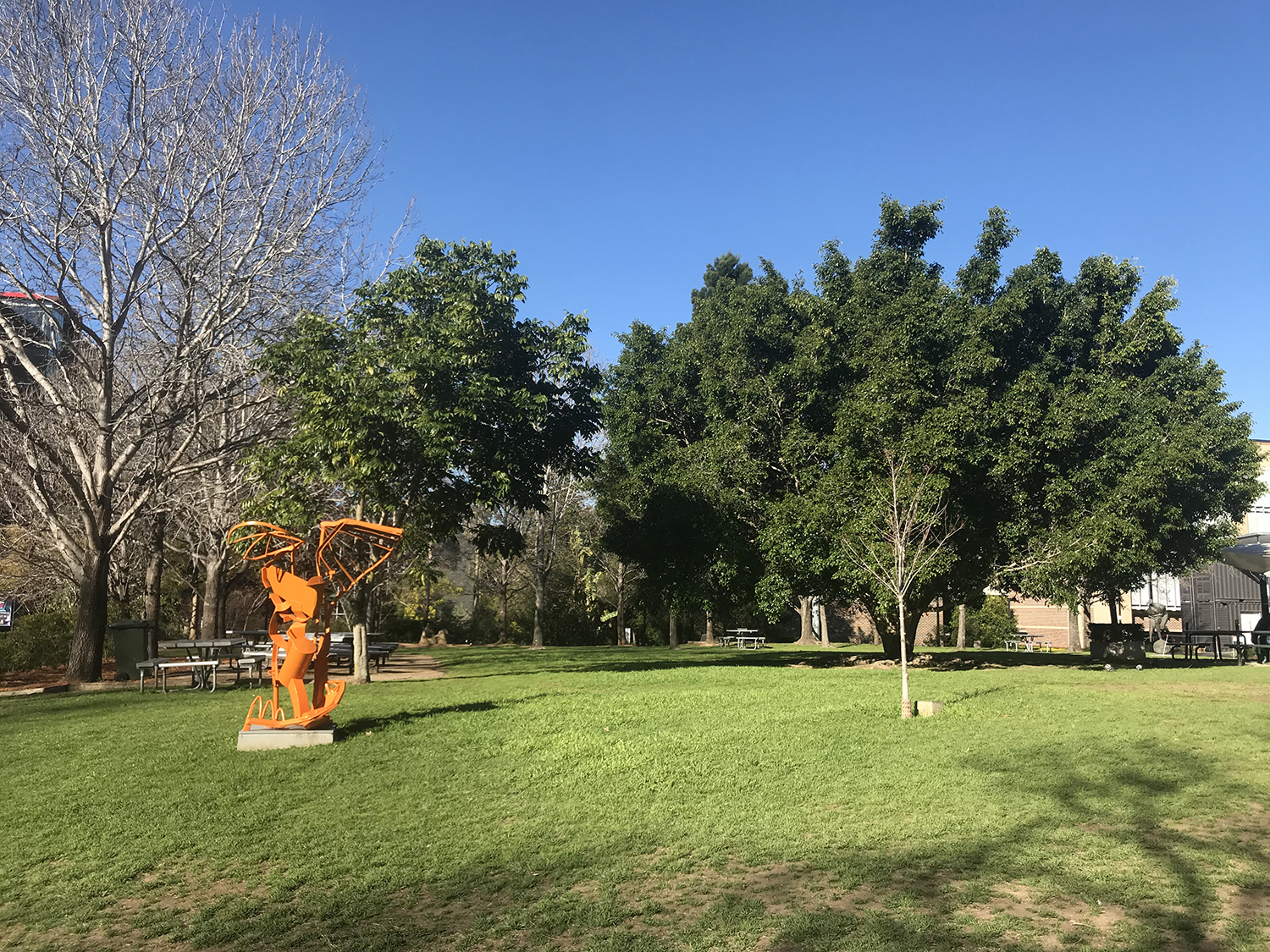 麦考瑞大学会计硕士世界排名,麦考瑞大学历年世界排名