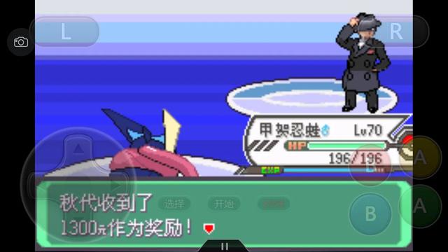 口袋妖怪究极绿宝石4详细攻略,口袋妖怪究极绿宝石4攻略详细版