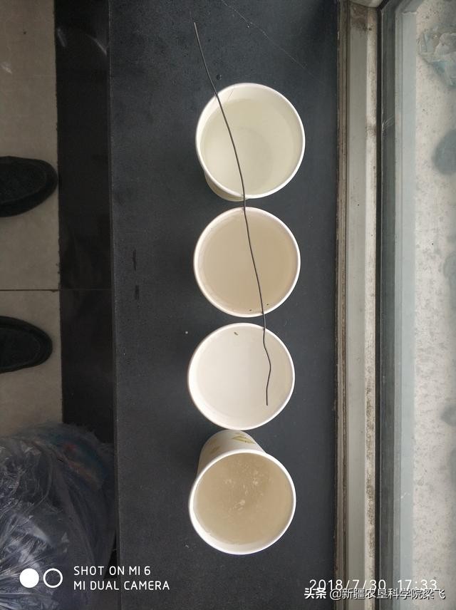 棉花滴灌肥料的正确使用方法,棉花磷酸二氢钾滴灌使用方法