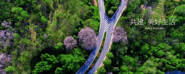 10位意见领袖打卡果岭，让有组织的圈子更有乐子