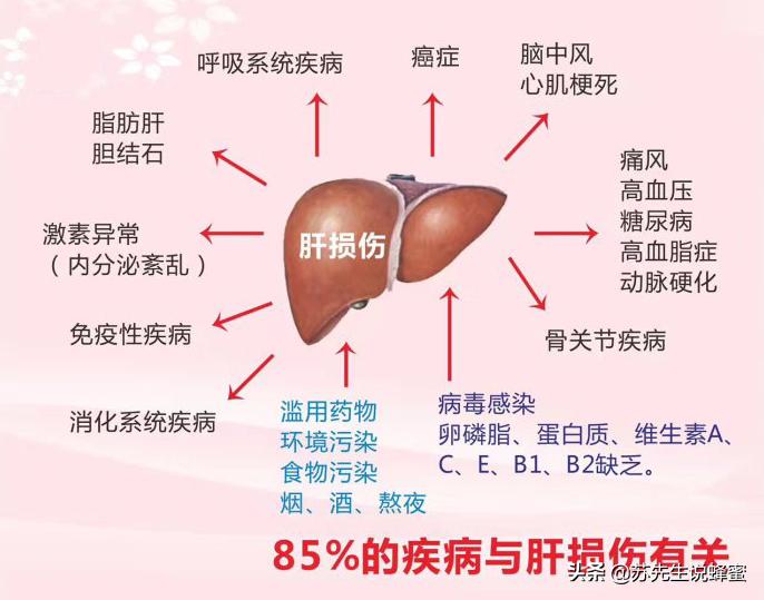 慢性肝损害能喝蜂王浆吗,蜂王浆和护肝药