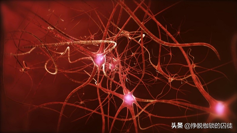 看到别人伤口疼自己也会感觉痛,看见别人疼自己也会疼是怎么回事