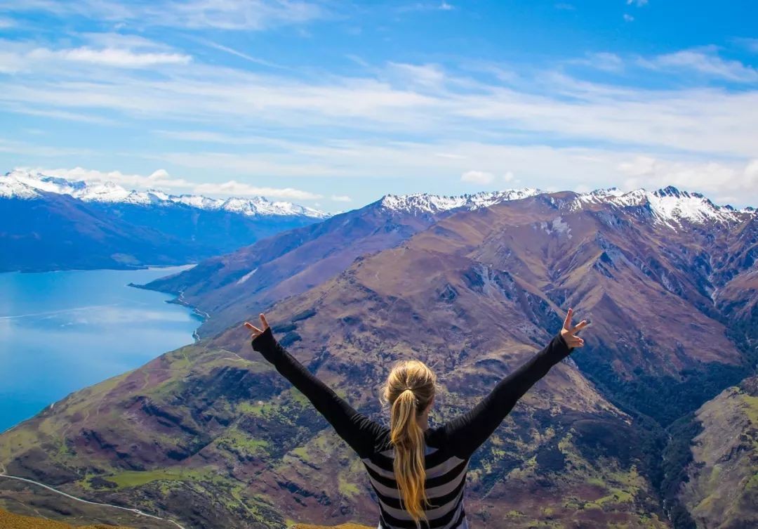 脑子是个好东西是真的吗,脑子是个好东西可惜你没有配图