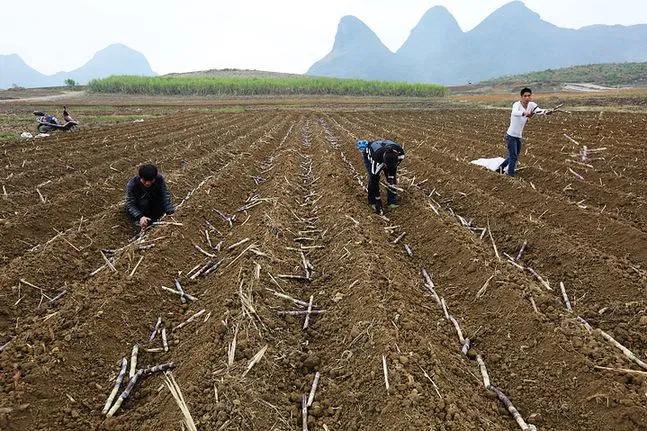 丘陵山区为什么难以实现机械化,丘陵地带无法机械化耕作