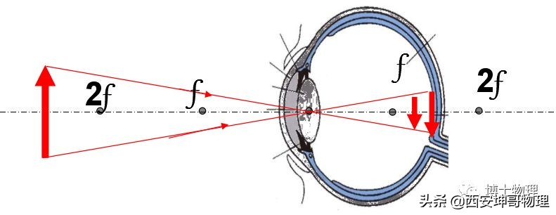 物理初中光学知识,初中物理眼睛与光学仪器