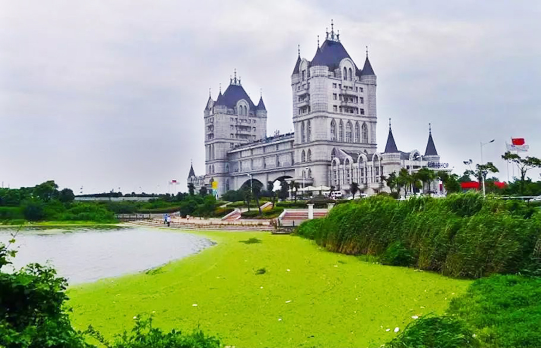 中国高速为何每年都在亏损,中国高速服务区怎么投资