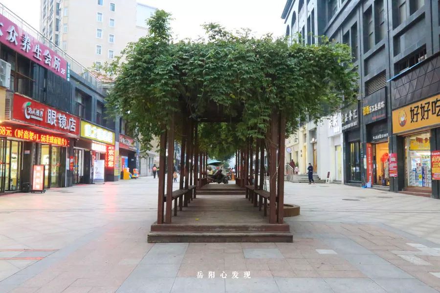 岳阳天伦城在哪条路,岳阳天伦城东北