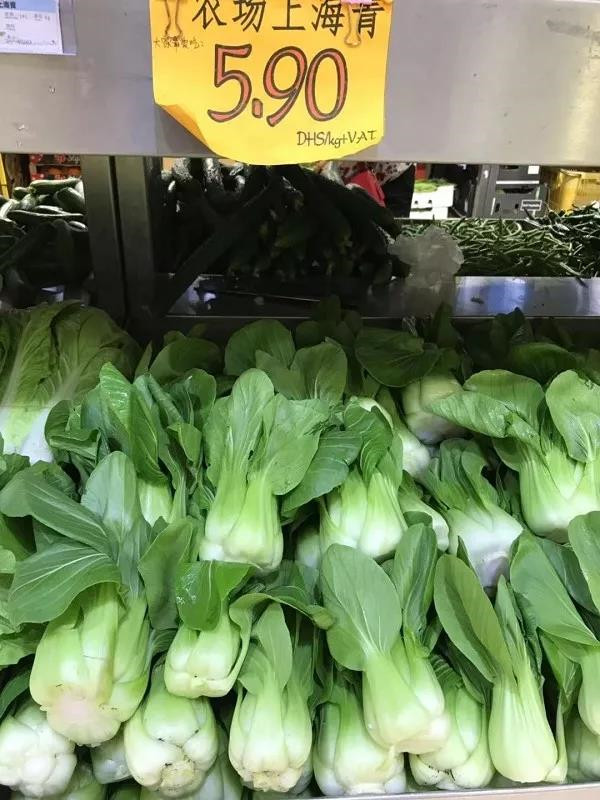 在迪拜生活到底贵不贵,迪拜打车贵不贵