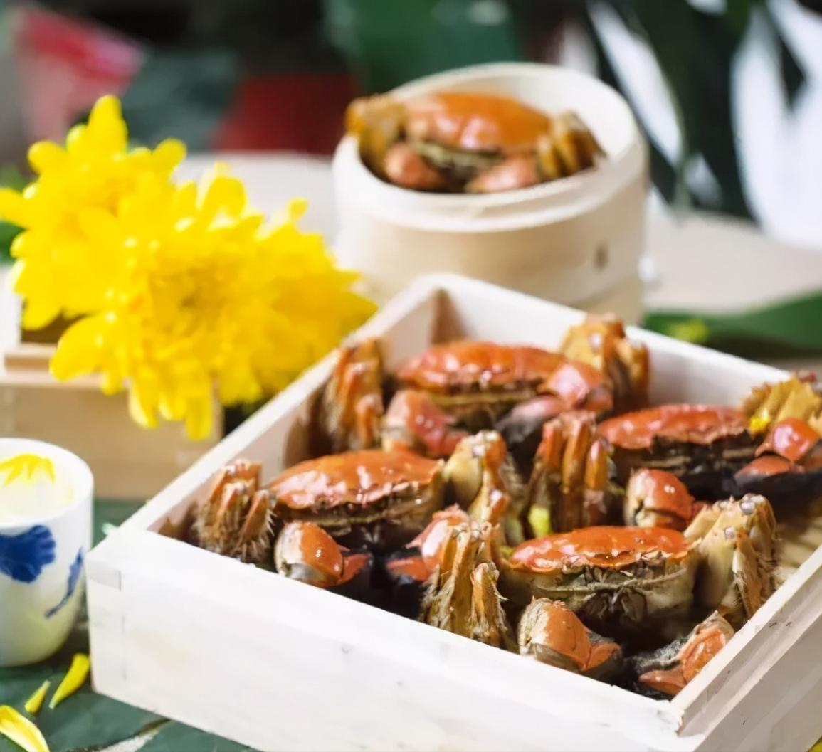 江苏扬州全面介绍,江苏省扬州市有什么区