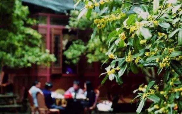 花港一楼茶楼,花港早茶