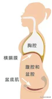 ella揭秘生育后遗症,s.h.e成员目前情况