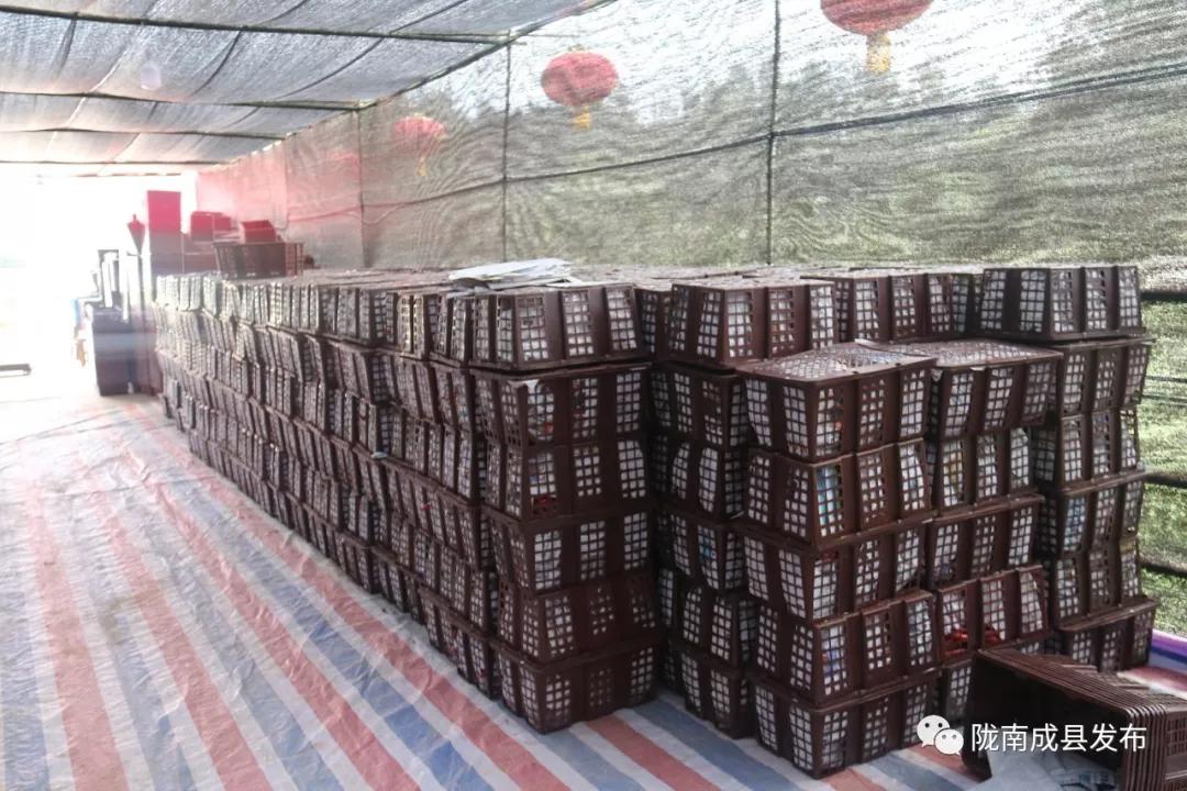 乡镇推动传统产业提档升级,乡镇多举措促进产业转型