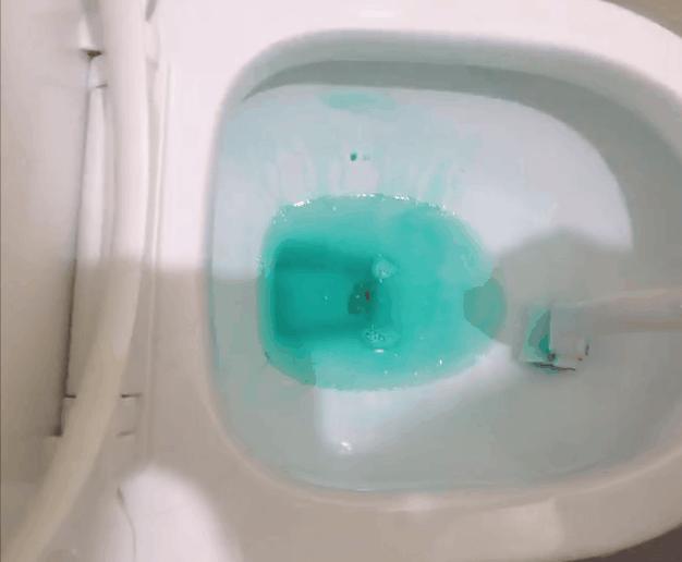 天呐!这样上厕所好舒服,我以前怎么不知道