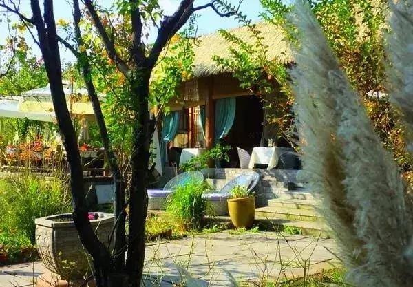 西昌邛海湿地公园旅游线路,西昌邛海湿地属于哪个省