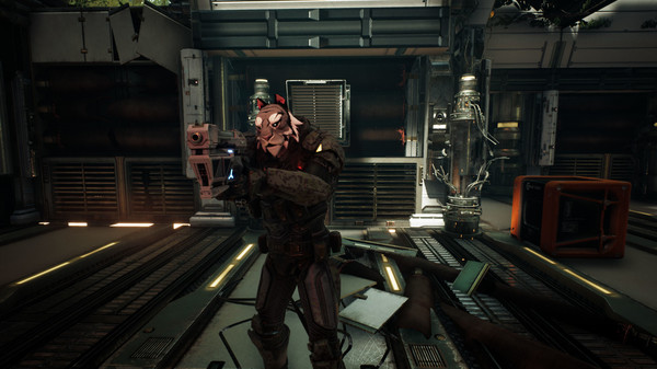 steam本周较火的吃鸡游戏,steam上好玩的免费游戏吃鸡