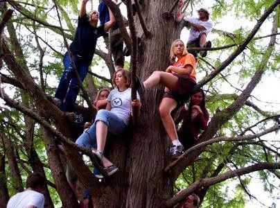 英国人春节习俗,英国人风俗文化