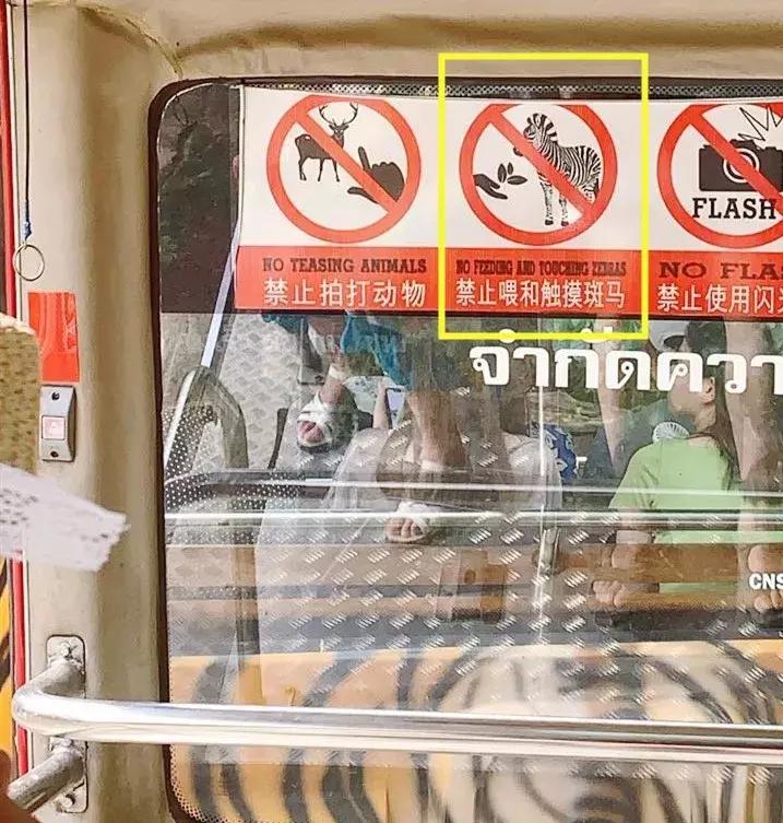 女子被斑马咬掉手指河北廊坊,21岁女孩喂斑马被咬