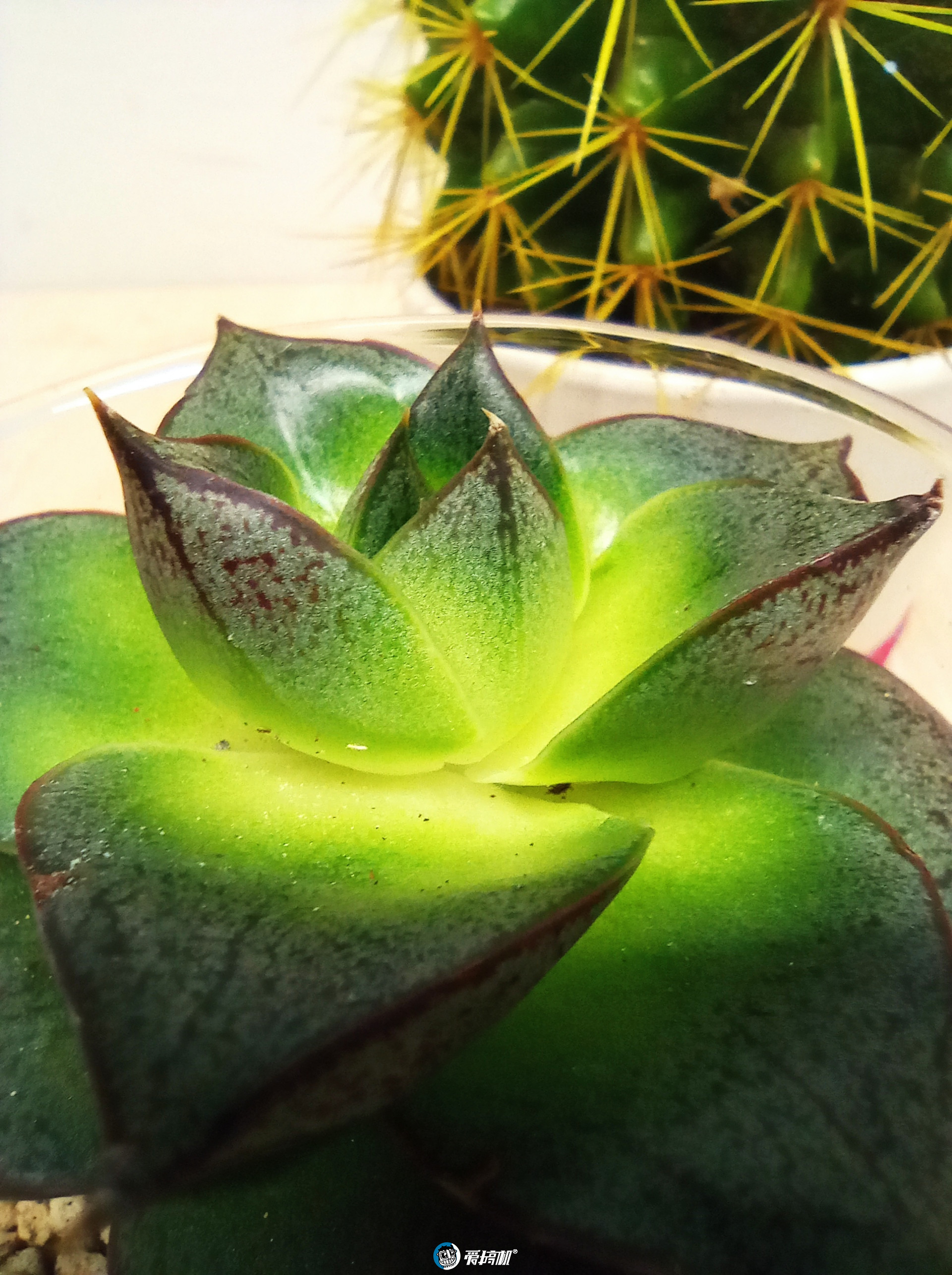 红米redmi12+256值得入手吗,redmi红米手机测评