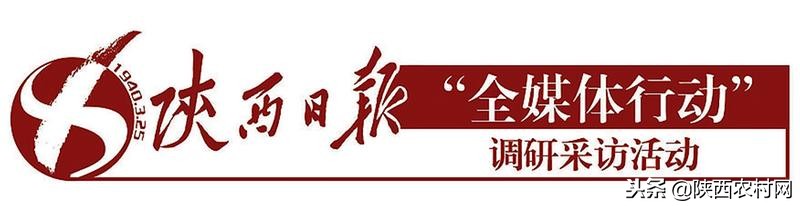 宝鸡制造：走向世界130多个国家