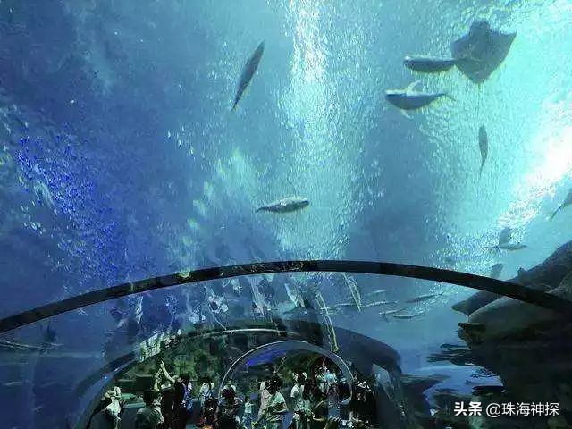 珠海一日游攻略小红书,珠海旅游网红打卡必去的地方