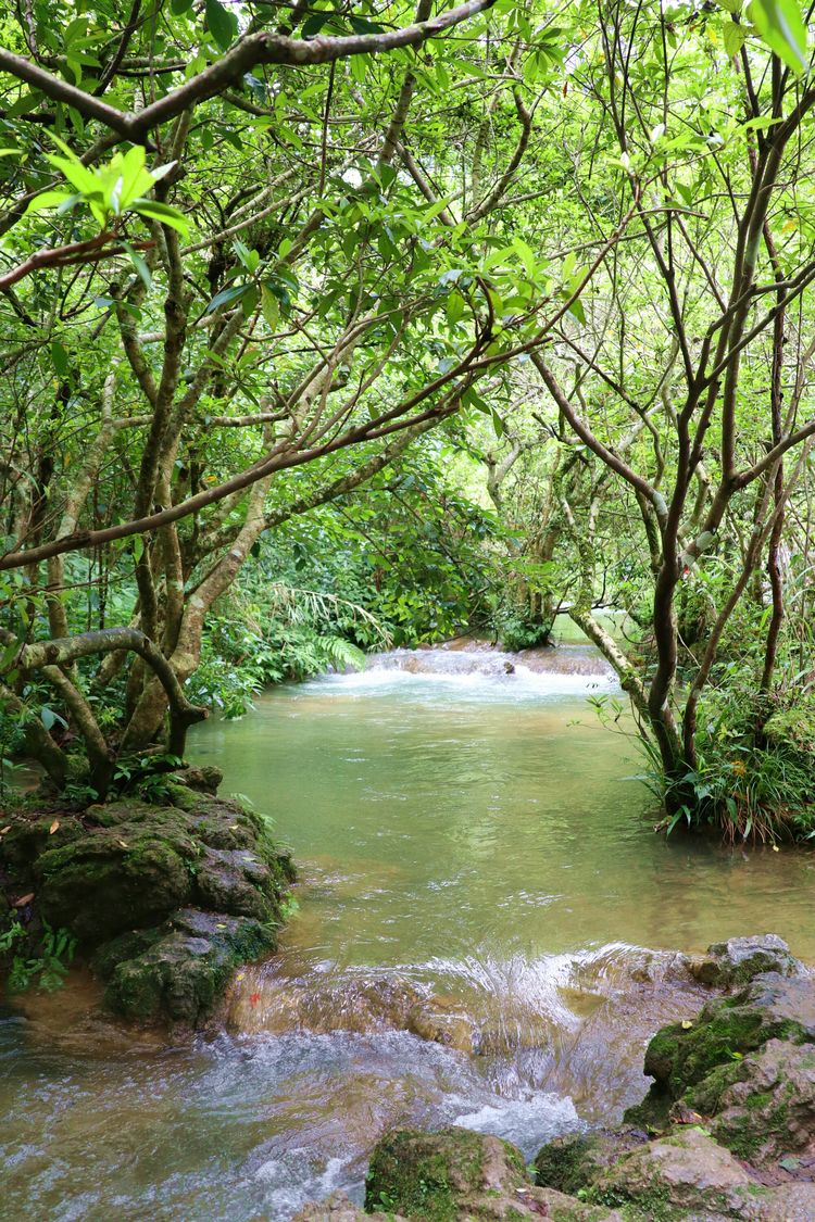 地球上的绿腰带贵州荔波小七孔,世界的绿宝石荔波