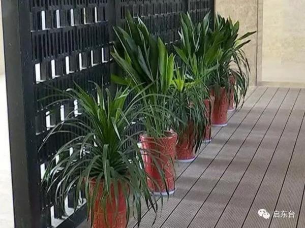 南通启东违建房,启东最新违建名单