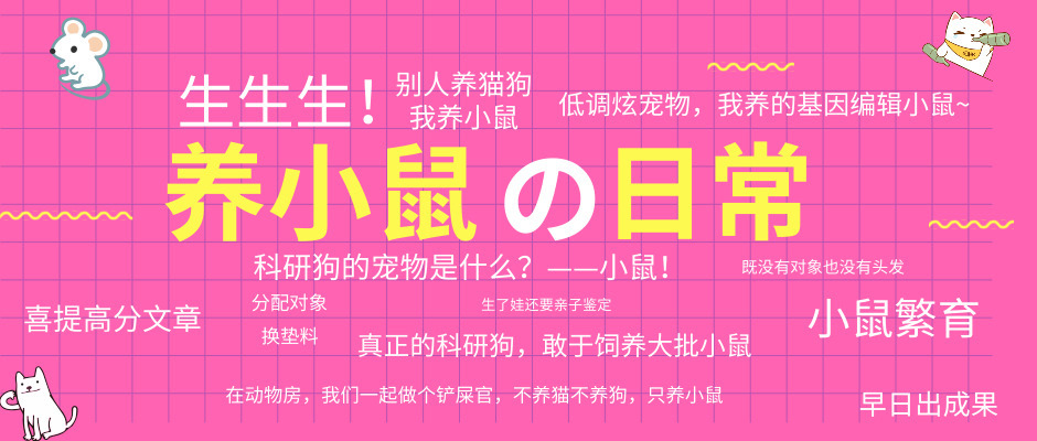 基因鼠繁育流程,基因编辑猪养殖