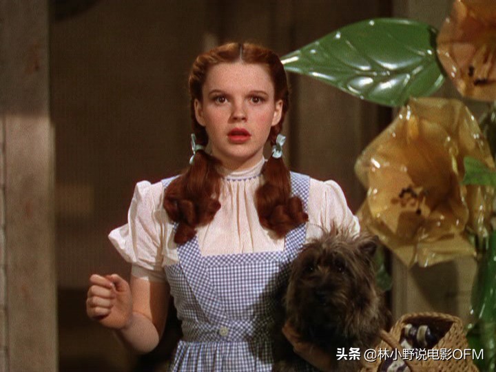 美国好莱坞明星性侵案,秀兰邓波儿性侵案