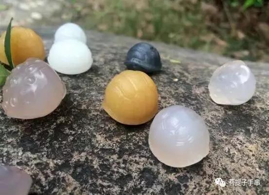 乌龟壳富甲天下,小小龟壳富甲天下