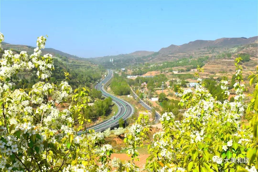 绿色和政春深夏浅风光好山美花浓待君来