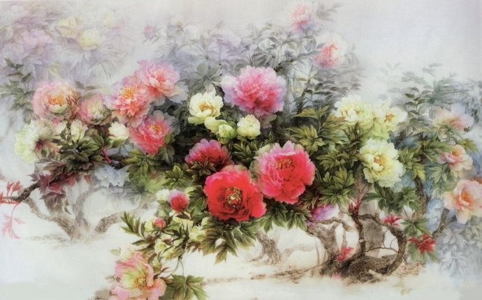 二十张惊艳的鲜花图片美图欣赏,好看的鲜花绝美图片