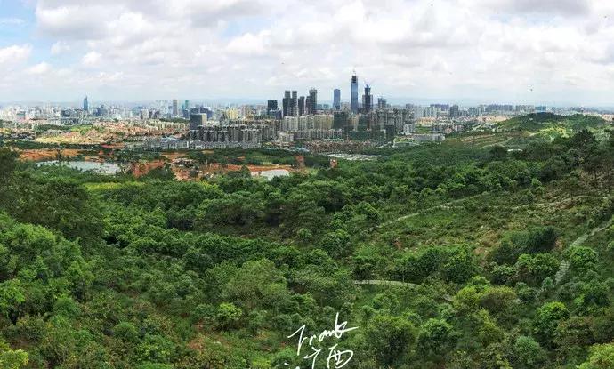 登青秀山吃老友面玩转南宁来中国杯现场为国足呐喊