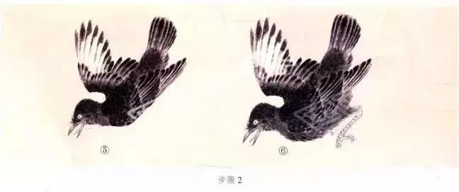 苏百钧工笔国画教学视频,苏百钧花鸟白描画稿