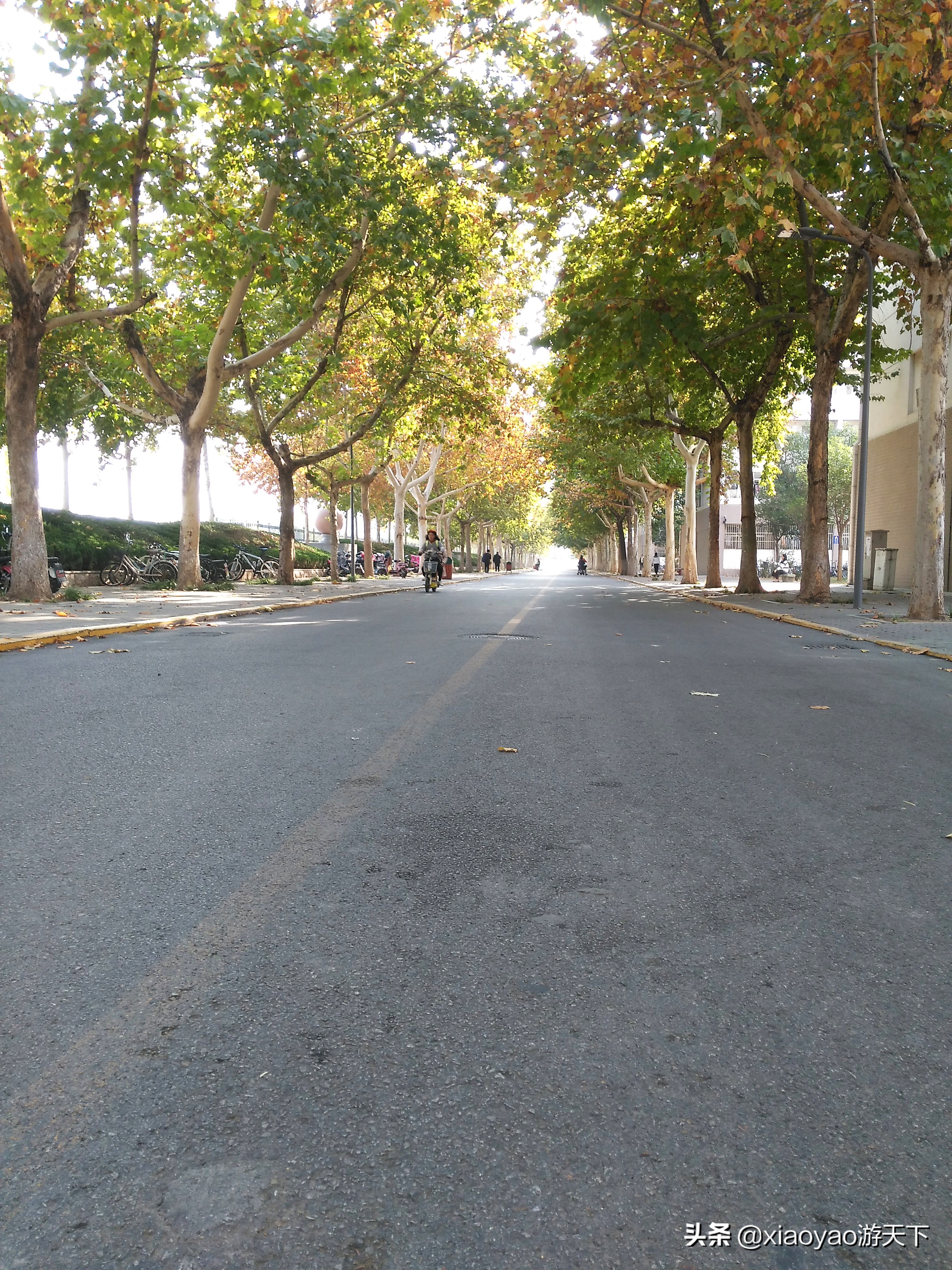 最美大学之旅——江北水城第一学府聊城大学