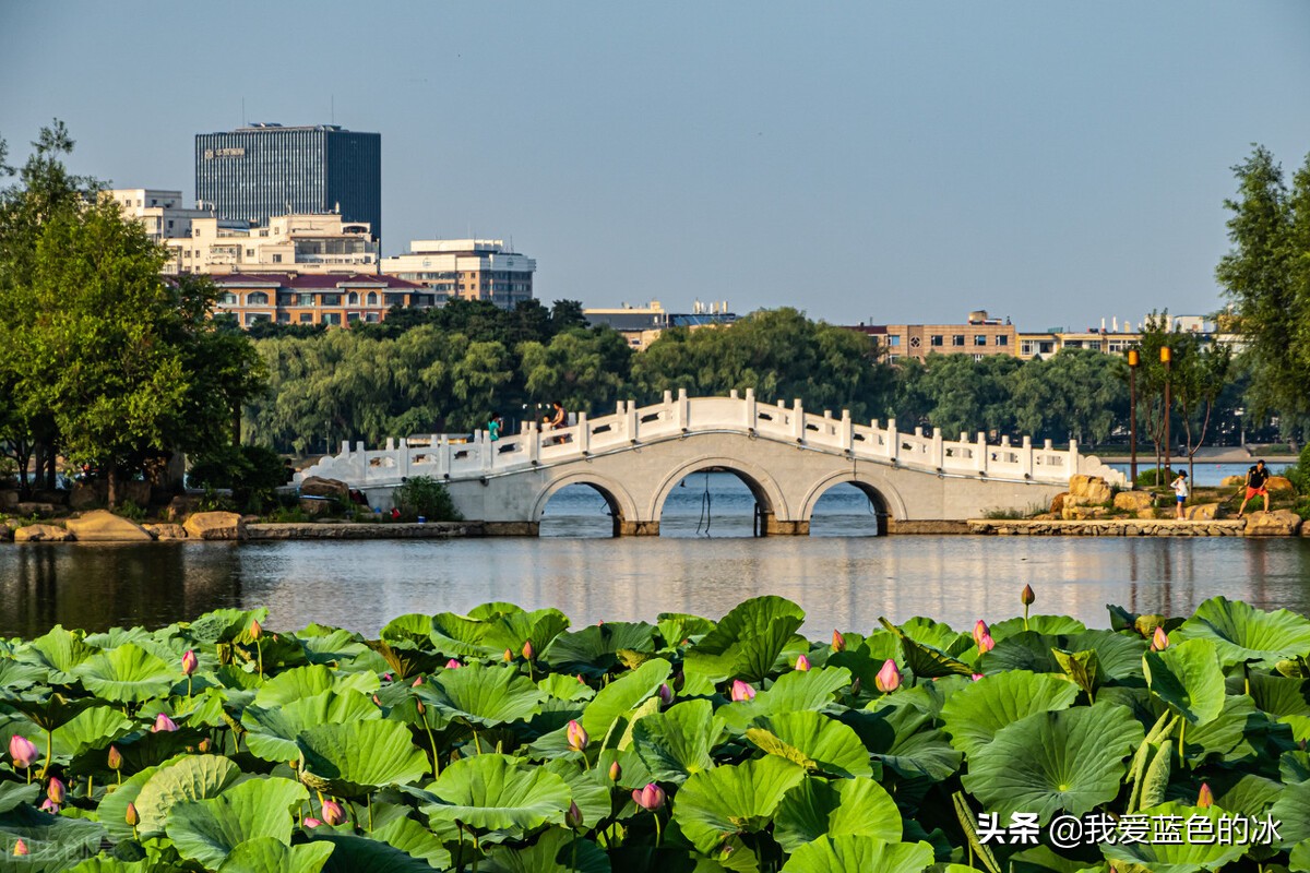 长春满眼都是绿色的地方,长春的绿化很好吗