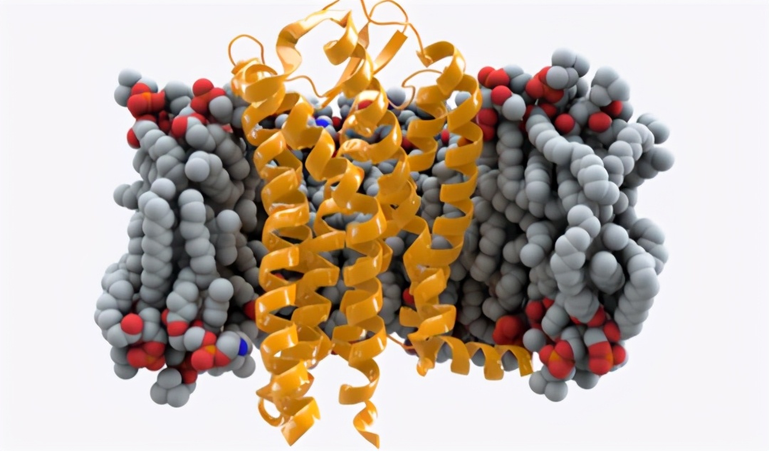 马斯克15年内培育出恐龙,埃隆马斯克复活恐龙计划