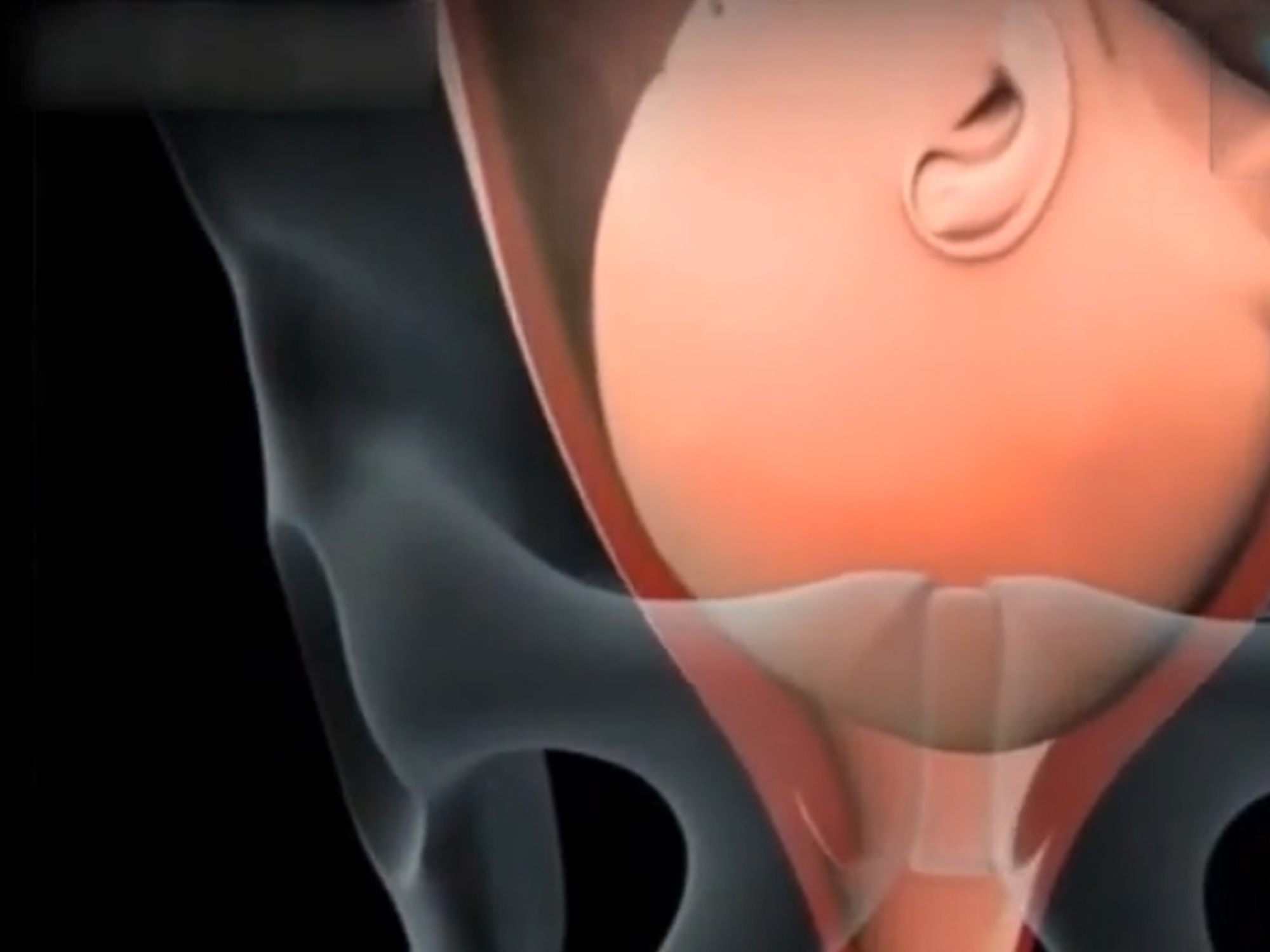 顺产全部过程是什么,顺产的整个过程要经历什么